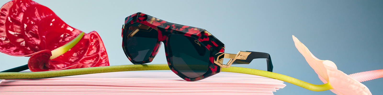 KWALITEIT VOOR OGEN X CAZAL 